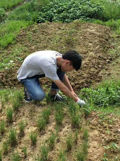 三下乡】广西民族大学软信学院为人民服务队