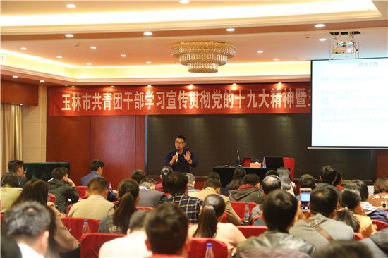 玉林市共青团干部学习宣传贯彻党的十九大精神暨玉林市青少年事务社工培训班开班
