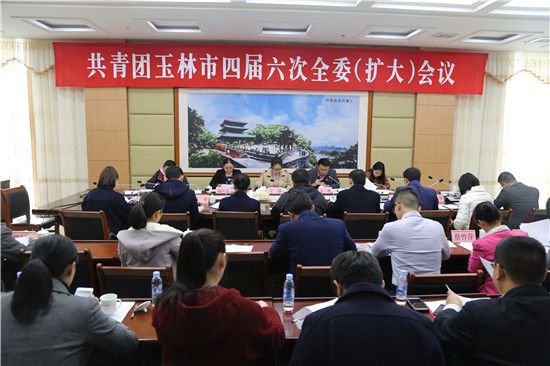 共青团玉林市委召开四届六次全委（扩大）会议深入研究部署学习宣传贯彻党的十九大精神