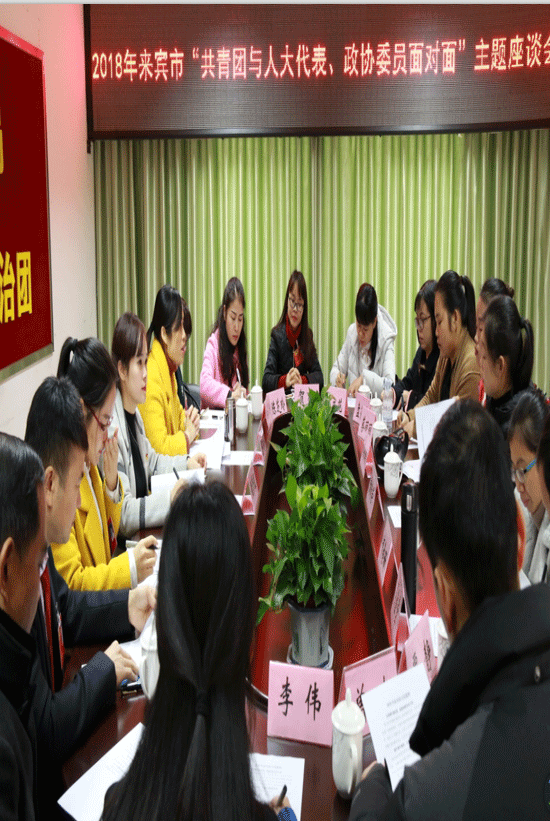 2018来宾市“两会”青年风采--共青团与人大代表、政协委员面对面