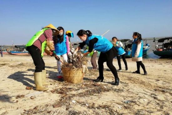 青年志愿者清洁和维护海滩，助力铁山港海洋环境保护