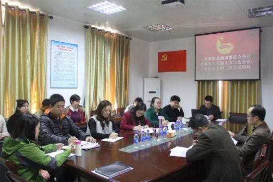 北海共青团传达学习市“两会”精神