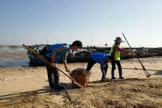 青年志愿者清洁和维护海滩，助力铁山港海洋环境保护