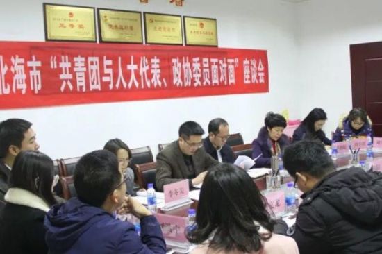 2018年北海市“共青团与人大代表、政协委员面对面”座谈会召开