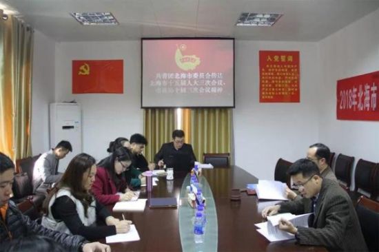 北海共青团传达学习市“两会”精神