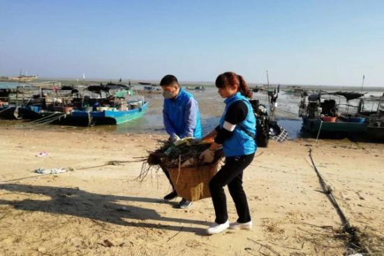 青年志愿者清洁和维护海滩，助力铁山港海洋环境保护