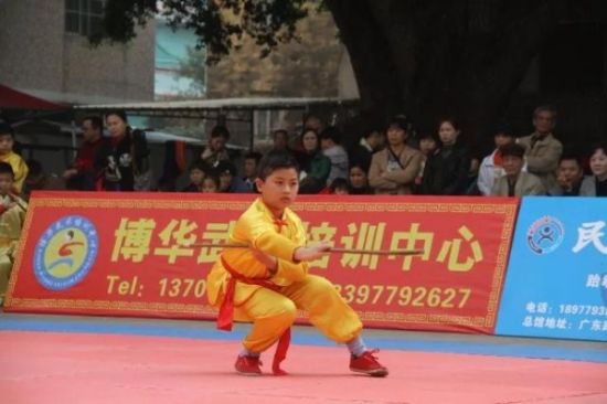 第三届北海市青少年儿童武术套路大赛胜利举办