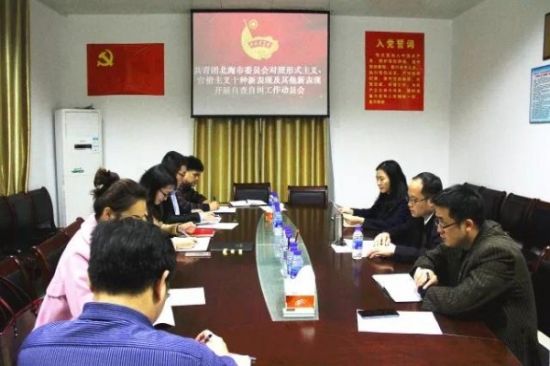 学习总书记讲话，做合格共青团员||共青团北海市委员会组织召开党风廉政会 以及自查自纠会