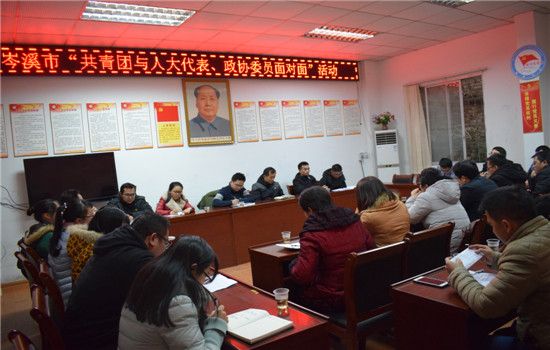岑溪市开展“共青团与人大代表、政协委员面对面”活动