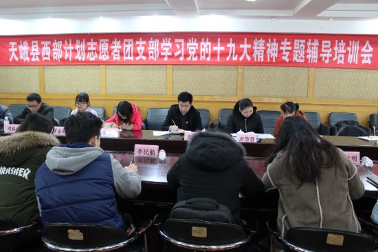 天峨县召开西部计划志愿者团支部成立大会