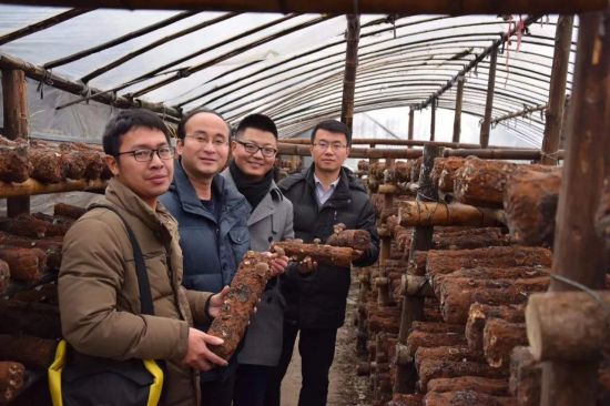 团中央国际联络部主任科员单其悦、团市委书记陈文彬到灵川考察青年创业项目