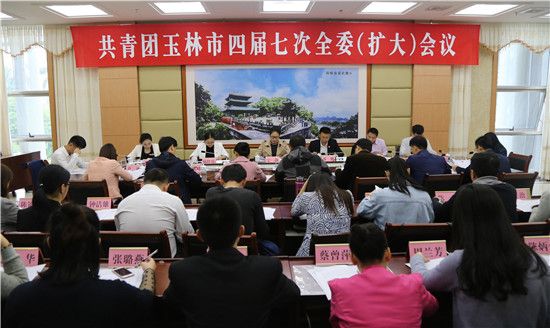 共青团玉林市四届七次全委（扩大）会议召开