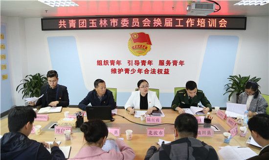 共青团玉林市委组织召开换届工作培训会