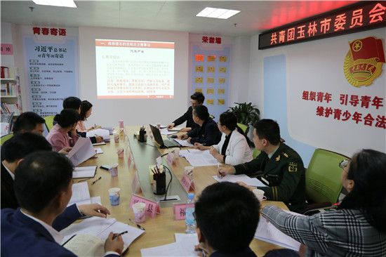 共青团玉林市委组织召开换届工作培训会