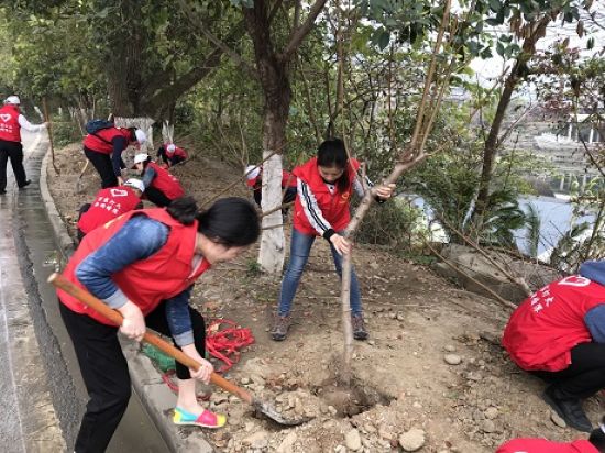 美丽桂林·青年当先——团秀峰区委组织青年志愿者开展义务植树活动