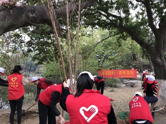 美丽桂林·青年当先——团秀峰区委组织青年志愿者开展义务植树活动