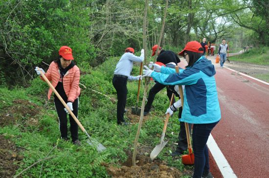 桂林市青少年植树活动在临桂举行