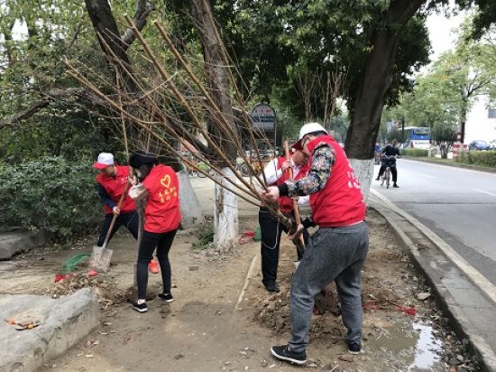 美丽桂林·青年当先——团秀峰区委组织青年志愿者开展义务植树活动