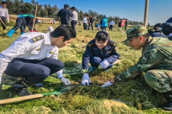 150名青年志愿者在北海金海湾开展植树护海行动