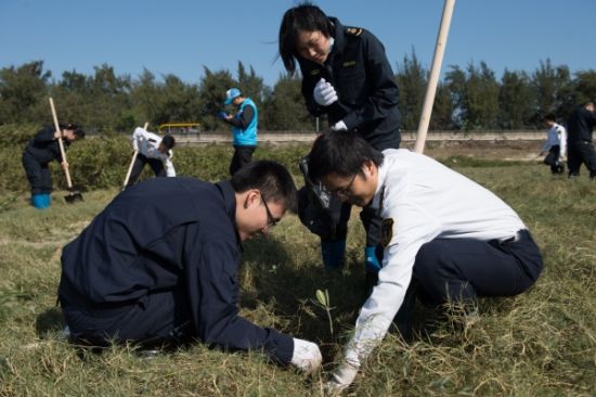 150名青年志愿者在北海金海湾开展植树护海行动
