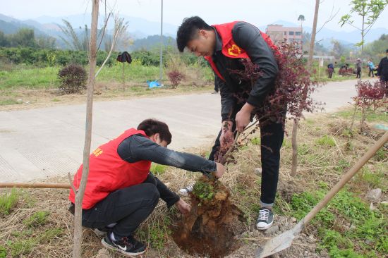 谱绿色主旋律，开环保新篇章