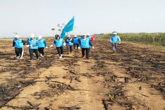 真情暖万家，青春见行动—青年志愿者在行动