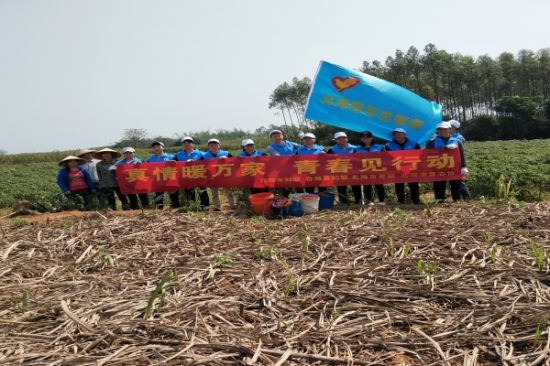 真情暖万家，青春见行动—青年志愿者在行动