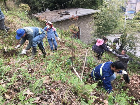 华锡集团股份有限公司铜坑矿团委开展义务植树活动为绿色矿山助力