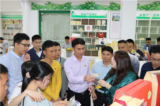 兴业县团委组织团干部赴横县参观学习