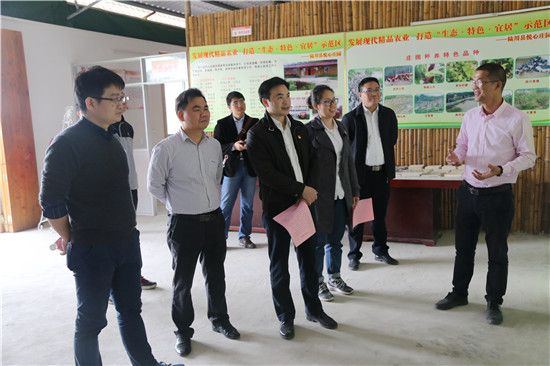 共青团广西区委副书记廖长友赴玉调研青年创业示范点