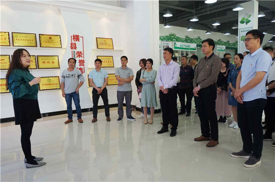 兴业县团委组织团干部赴横县参观学习