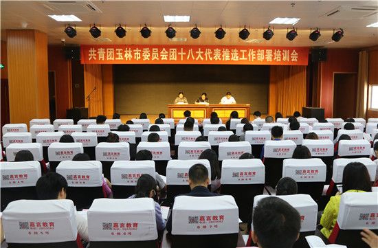 共青团玉林市委召开团十八大代表推选工作部署培训会