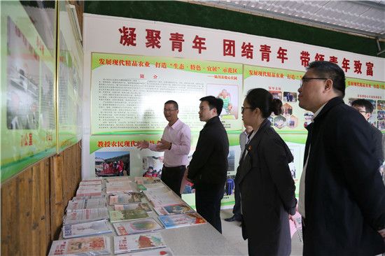 共青团广西区委副书记廖长友赴玉调研青年创业示范点