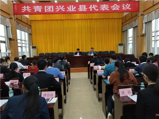共青团兴业县代表会议召开