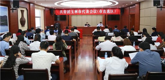 共青团玉林市代表会议（市直选区）召开