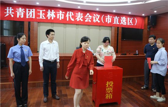 共青团玉林市代表会议（市直选区）召开