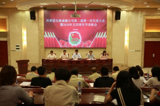 北海诚德公司团委召开换届选举大会暨五四青年节表彰大会
