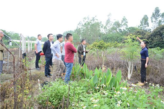 兴业县第二期青年创新创业论坛举办