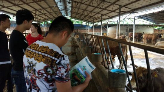 古潭乡团委组织贫困户青年到南圩、都结开展创业考察学习活动