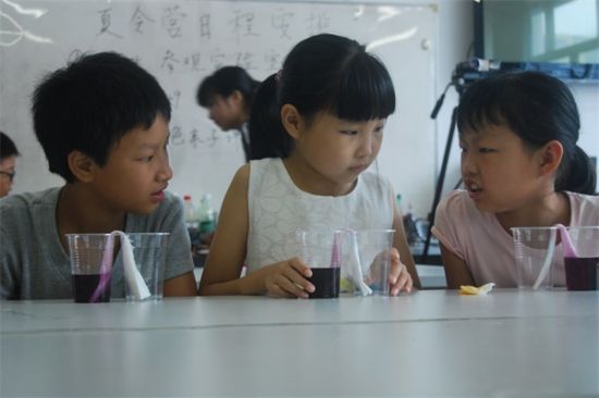 广西师范大学蒲公英创客坊开展暑期科技夏令营