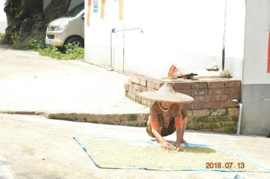 【青春三下乡】广西高校学子走访贫困家庭宣传扶贫政策