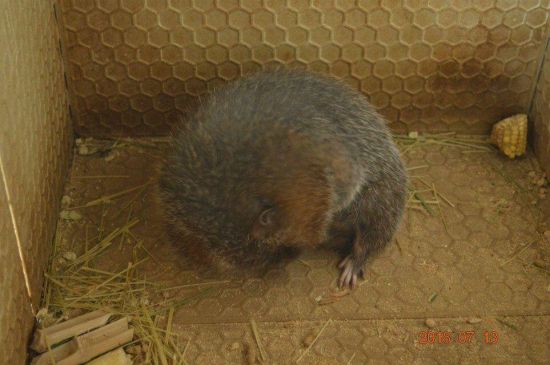 【青春三下乡】广西高校学子走访贫困家庭宣传扶贫政策