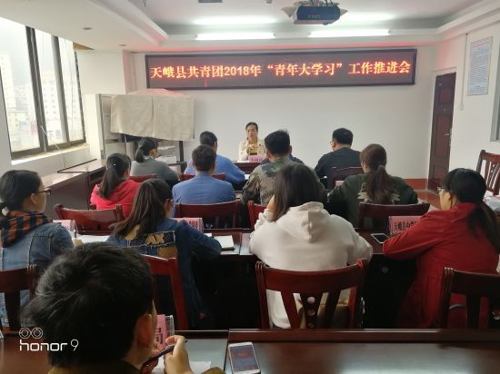 天峨县共青团召开2018年“青年大学习”工作推进会