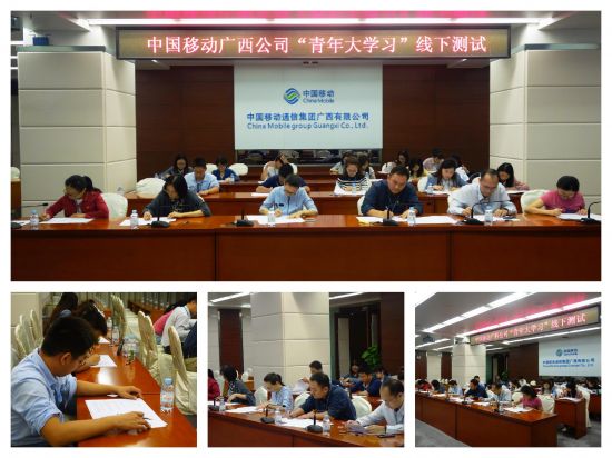 广西公司团委召开团委扩大学习会议