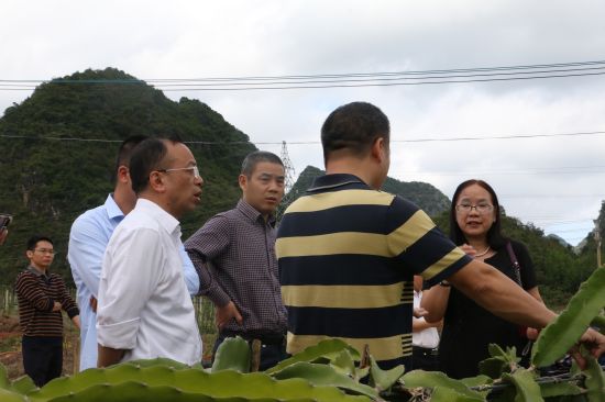 广西民族大学管理学院赴百色开展主题党日活动