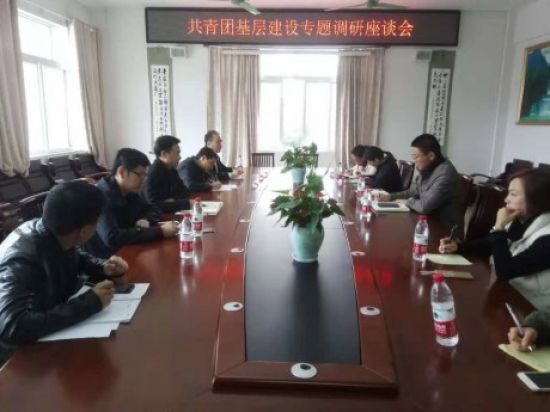 团广西区委副书记廖长友同志一行来我区调研基层团组织建设工作