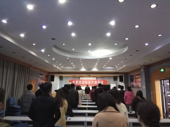 共青团灌阳县代表会议胜利召开