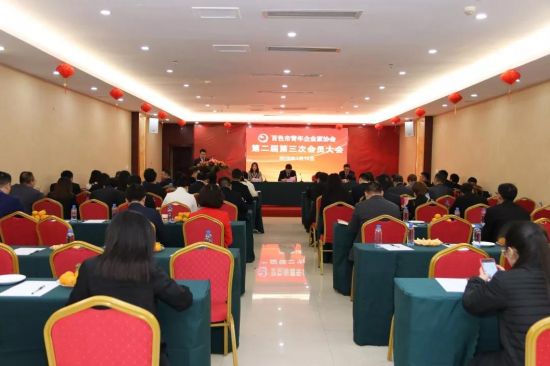 百色市青年企业家协会第二届第三次会员大会暨2019年新春联谊会成功举办