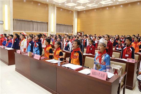 中国少年先锋队玉林市第四次代表大会隆重召开