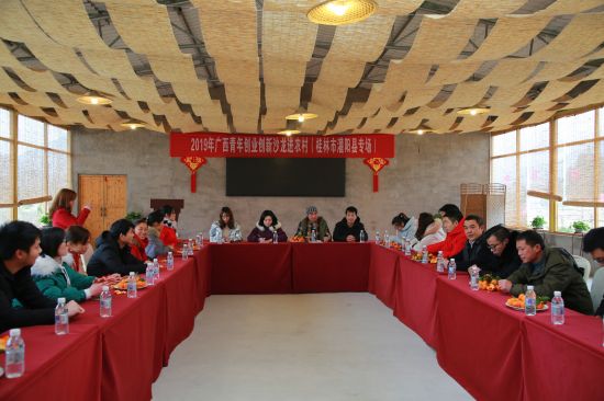 团灌阳县委举办青年创业创新沙龙活动